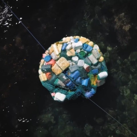 garbage in fish net