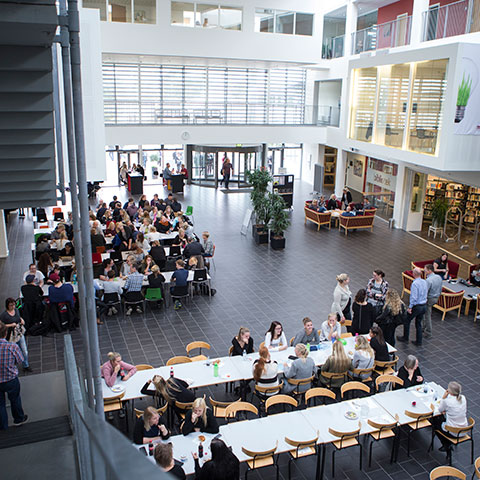  Campus Holstebro canteen