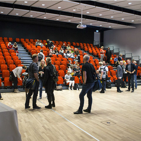 Auditorium on Campus Viborg 