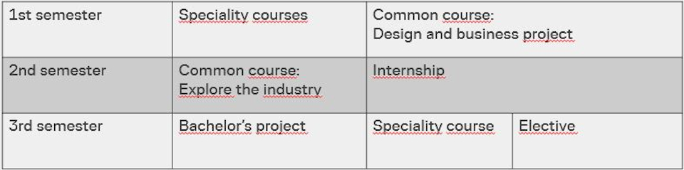 Overview of the Design and Business study programme