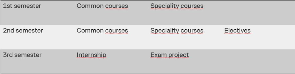 Structure Design and Business study programme