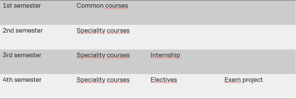 Structure of the Design, Technology and Business study programme