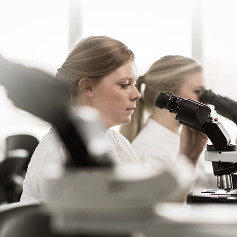 Women looking in microscopes