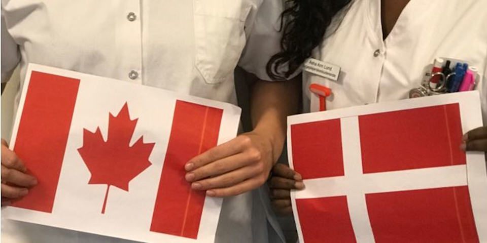 Canadian and Danish flags