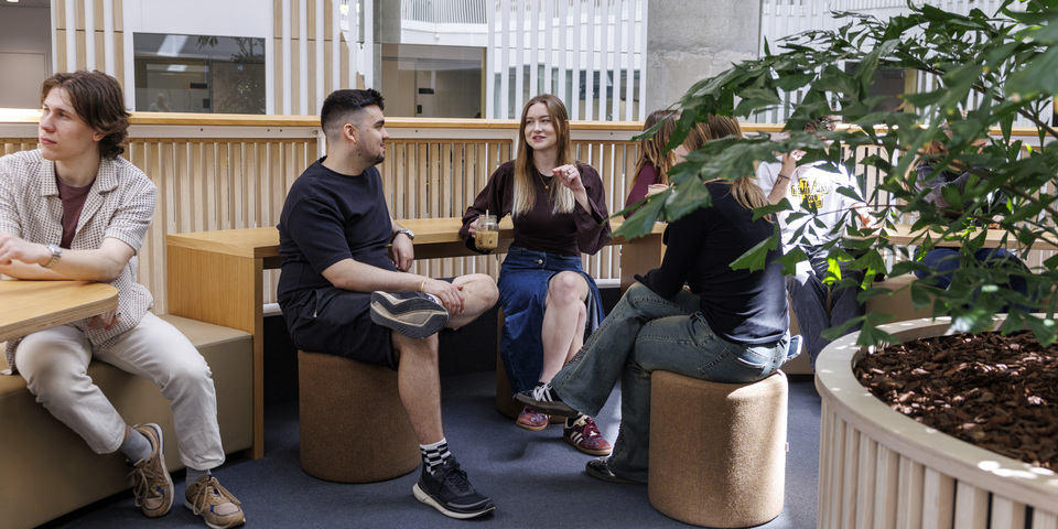 En gruppe af internationale studerende taler med hinanden på en bænk, plante, paneler, sort t-shirt, fritid, pause, studiemiljø, iskaffe. 